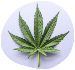 Únava carousel (1200 x 628 px) (1)